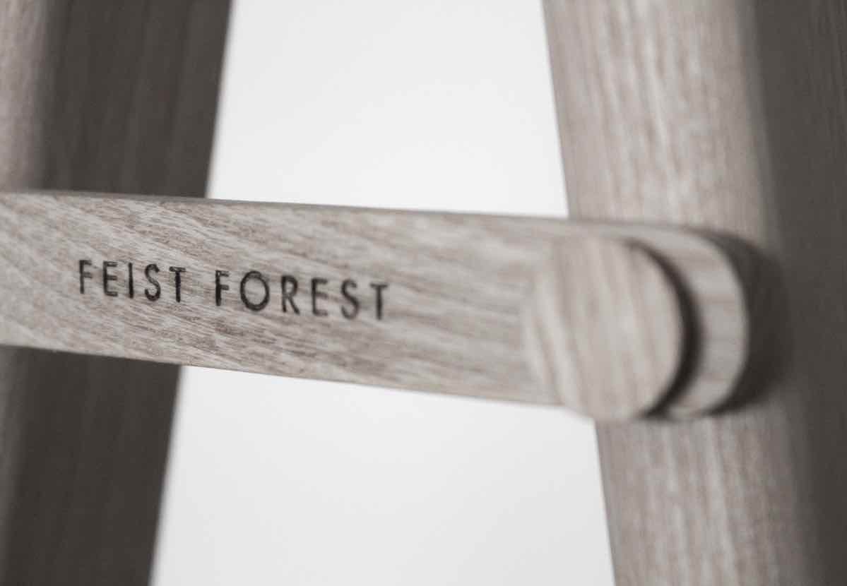 Feist-Forest_Detail